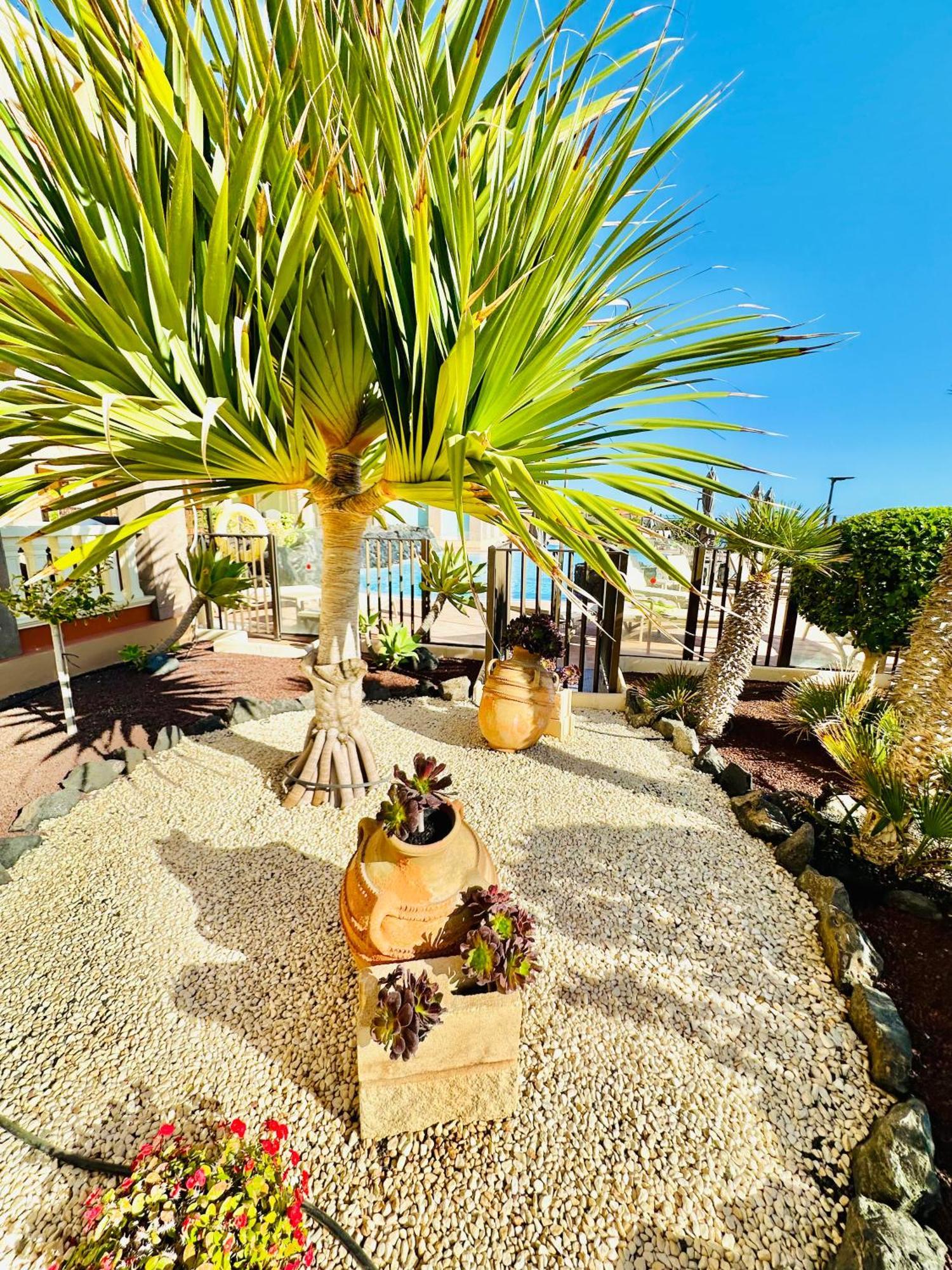 El Nautico Apartment San Miguel de Abona Luaran gambar